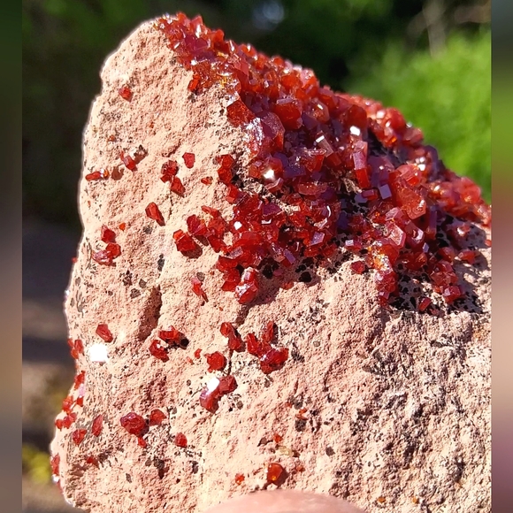 Vibrant Vanadinite Specimen - Picture 11 of 16